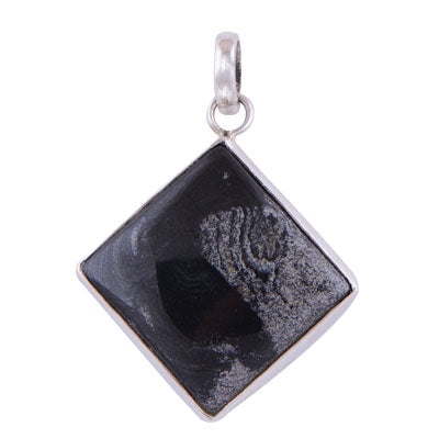 Orthoceras 925 Sterling Silver Pendant - R101217-51