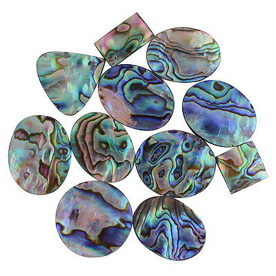 11 Pcs Natural Abalone Shell Standard Quality Cabochon Gemstones Free Size Lot - RS30900184-2