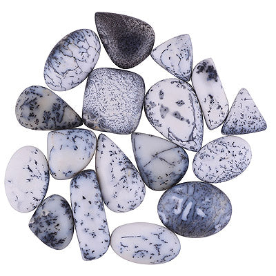 17 Pcs Natural Dendritic Agate Standard Quality Cabochon Gemstones Free Size Lot - RS30900184-20