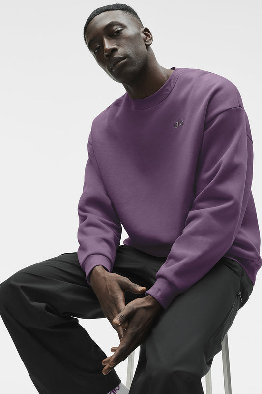 Accolade Crew Neck Pullover - Plum Kiss (MENSU3031RG)