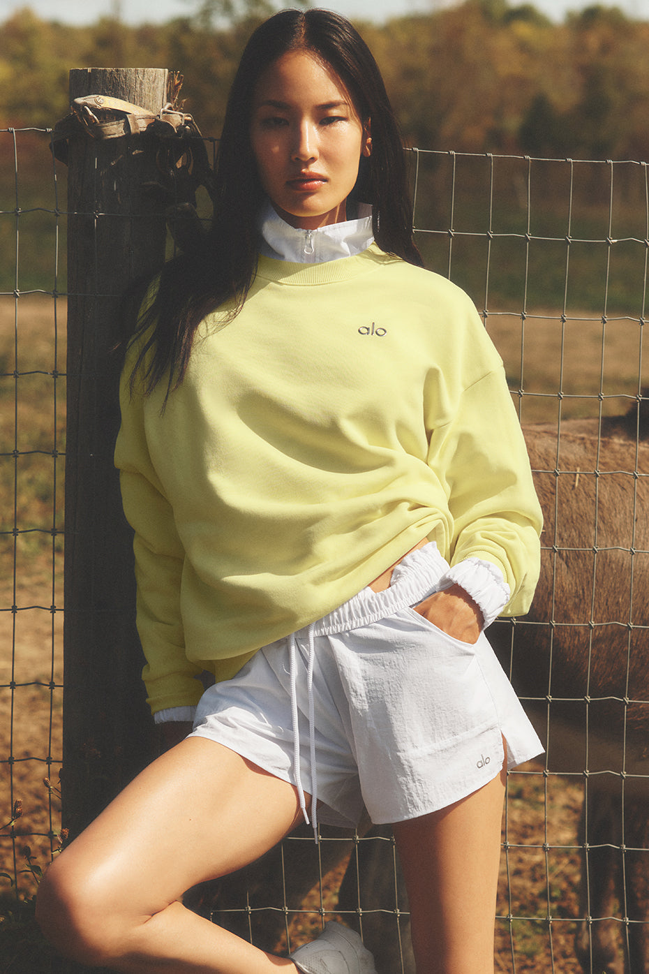 Accolade Crew Neck Pullover - Sunshine (U3031RG)