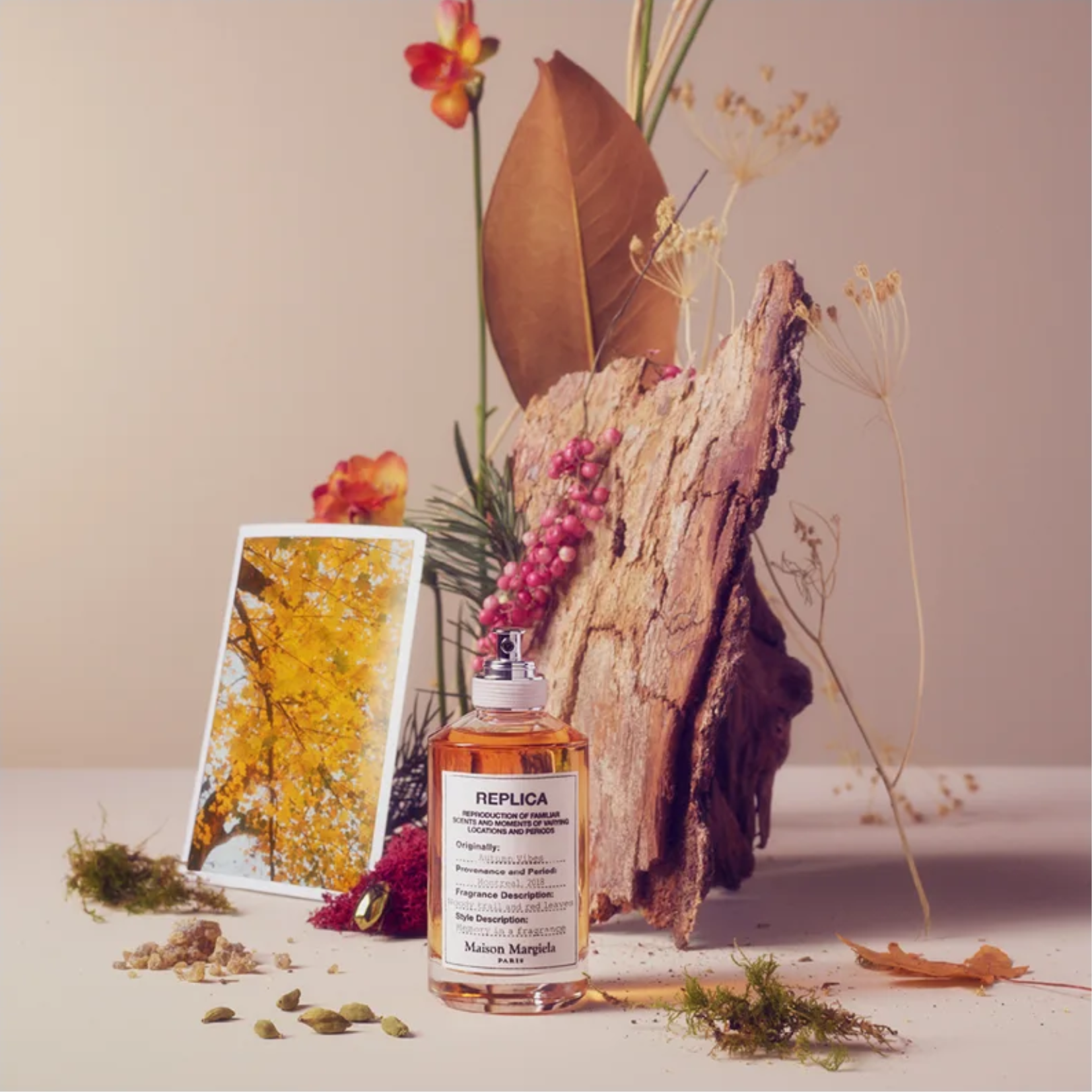 Maison Margiela REPLICA Autumn Vibes Eau de Toilette for Men — image 1