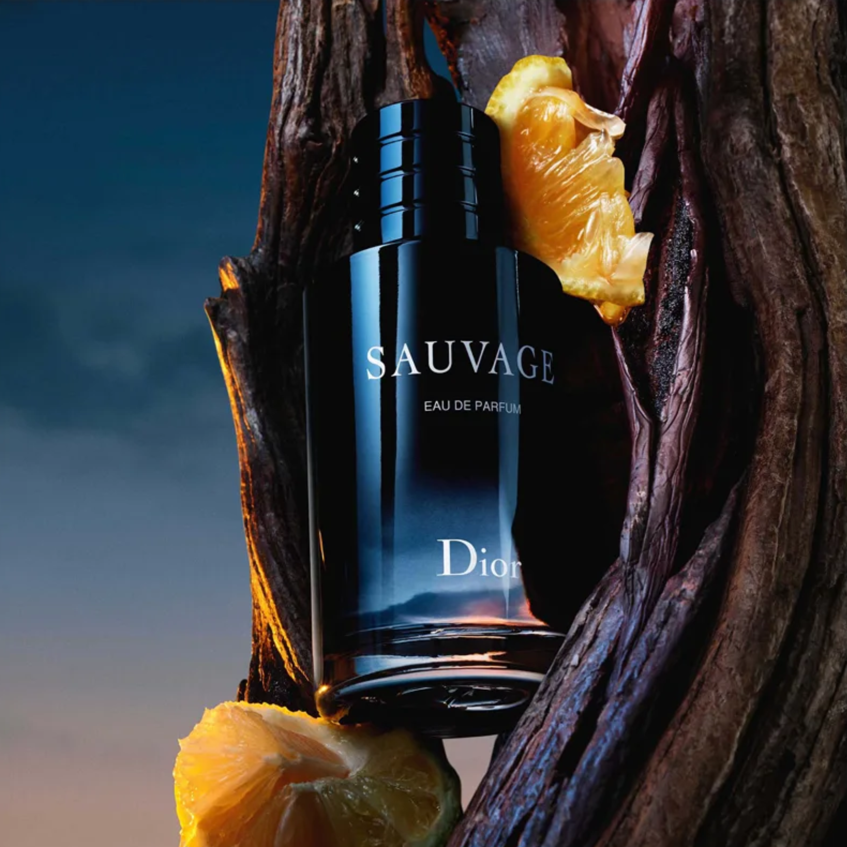 Dior Sauvage Eau de Parfum for Men — image 1