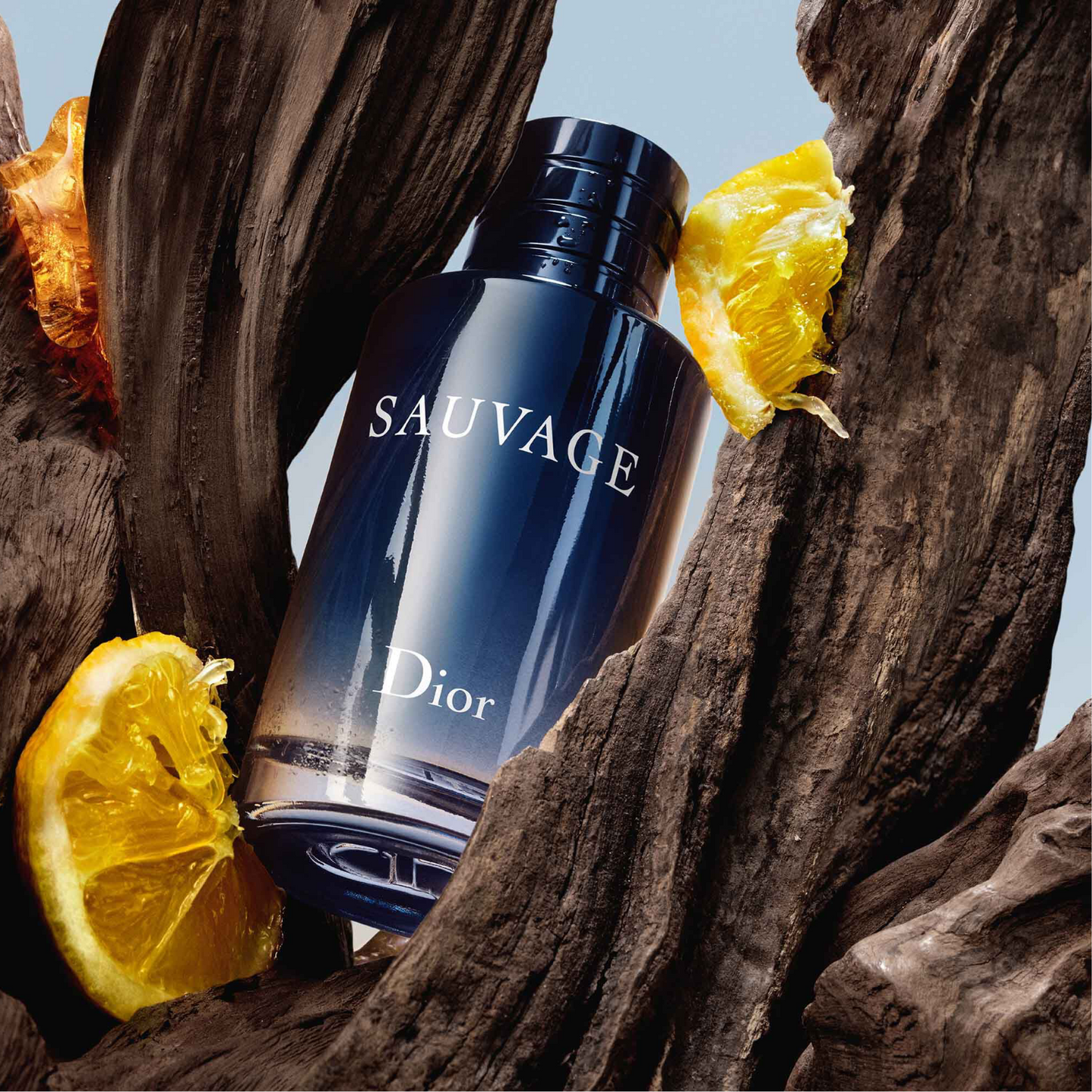 Dior Sauvage Eau de Toilette for Men — image 1