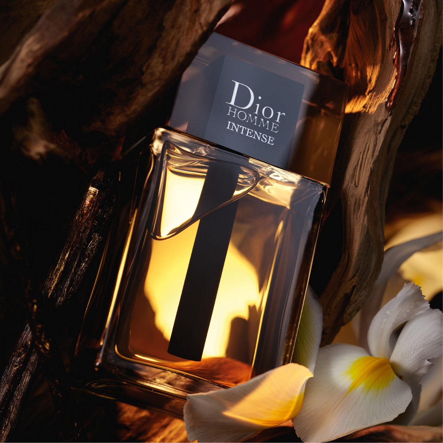 Dior Homme Intense Eau de Parfum for Men — image 1