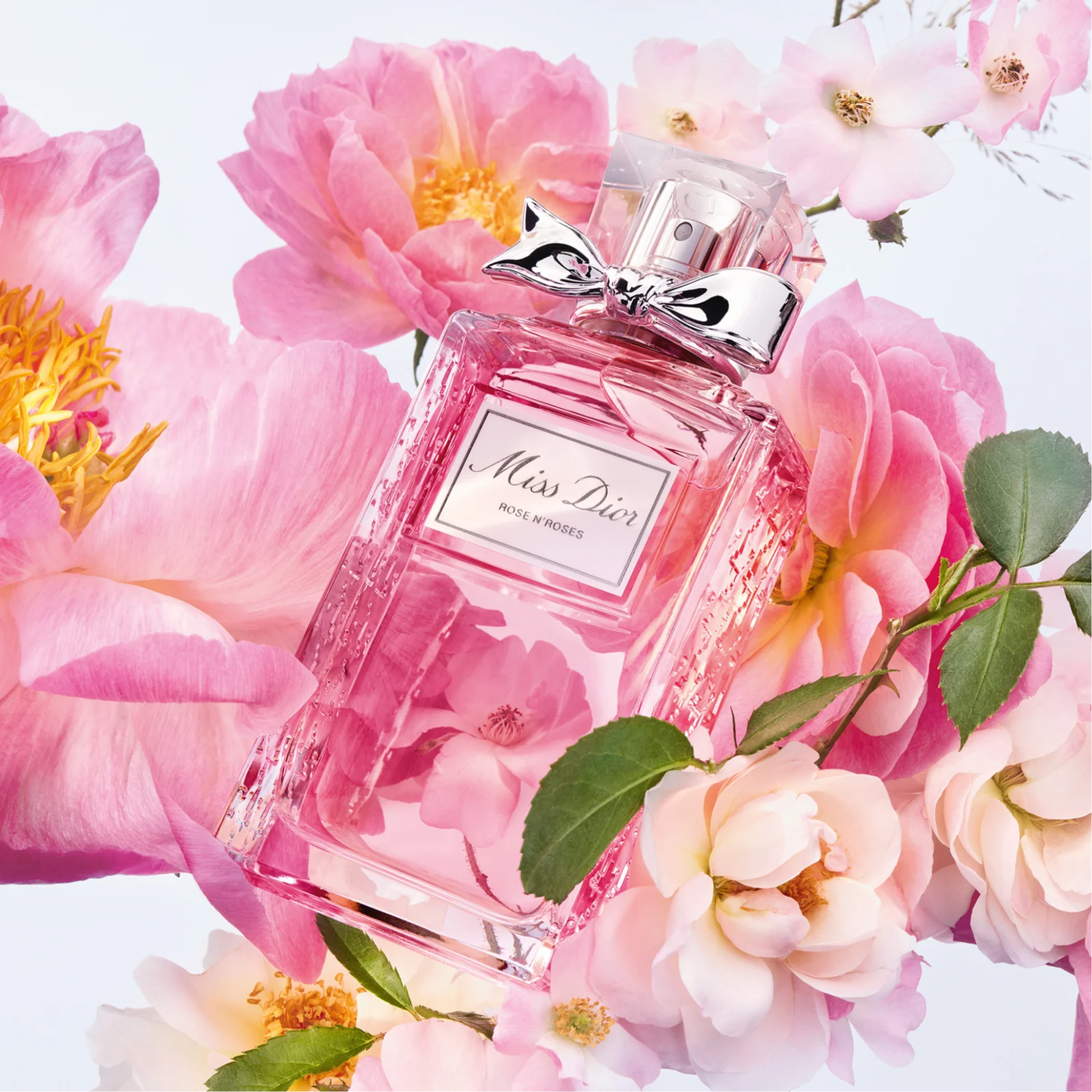 DIOR Miss Dior Rose N'Roses Eau de Toilette for Women — image 1