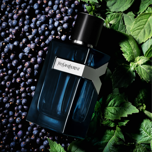 Yves Saint Laurent Y Eau De Parfum Intense for Men — image 1