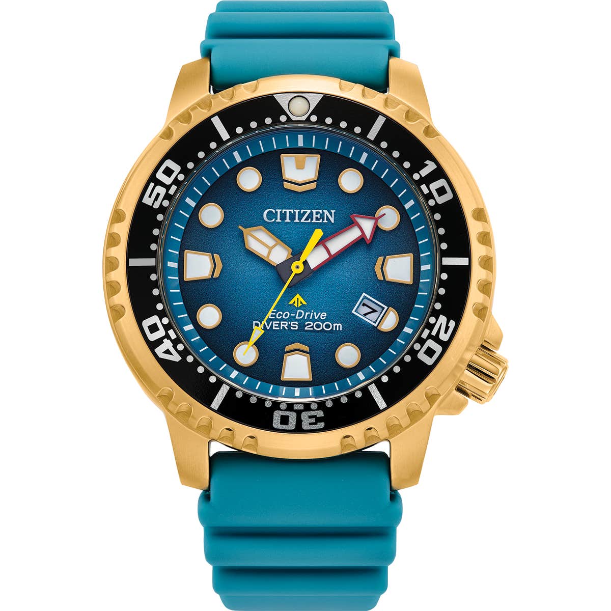 Promaster Diver (BN0162-02X)