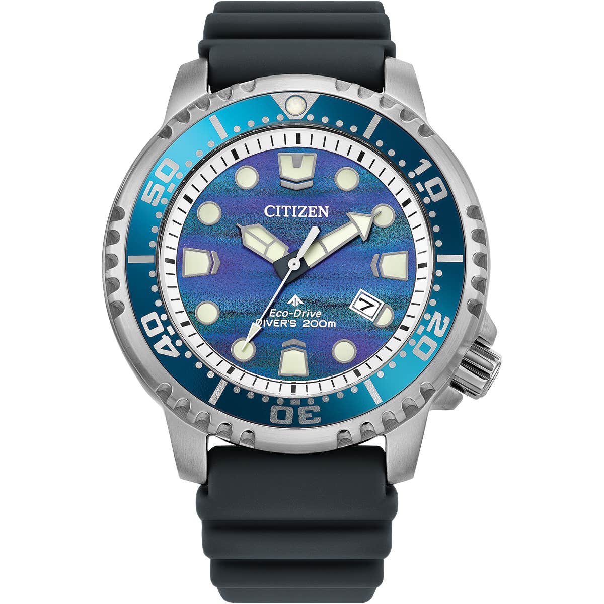 Promaster Diver (BN0167-09W)