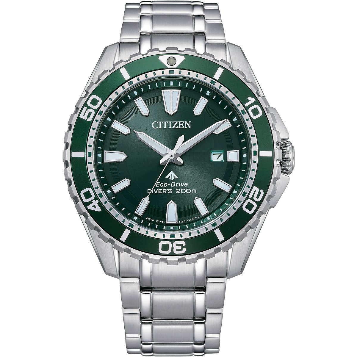 Promaster Diver (BN0199-53X)
