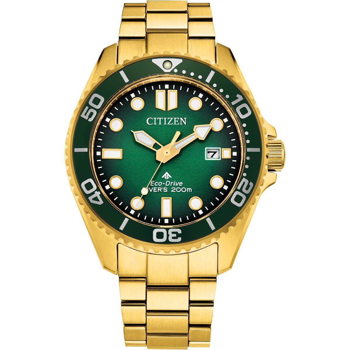 Promaster Diver (BN0262-59W)
