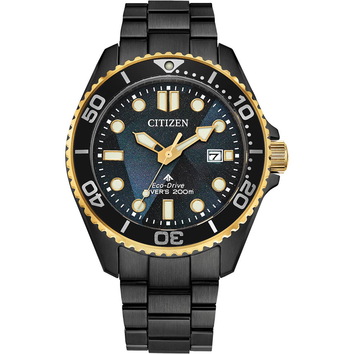 Promaster Diver (BN0264-53E)