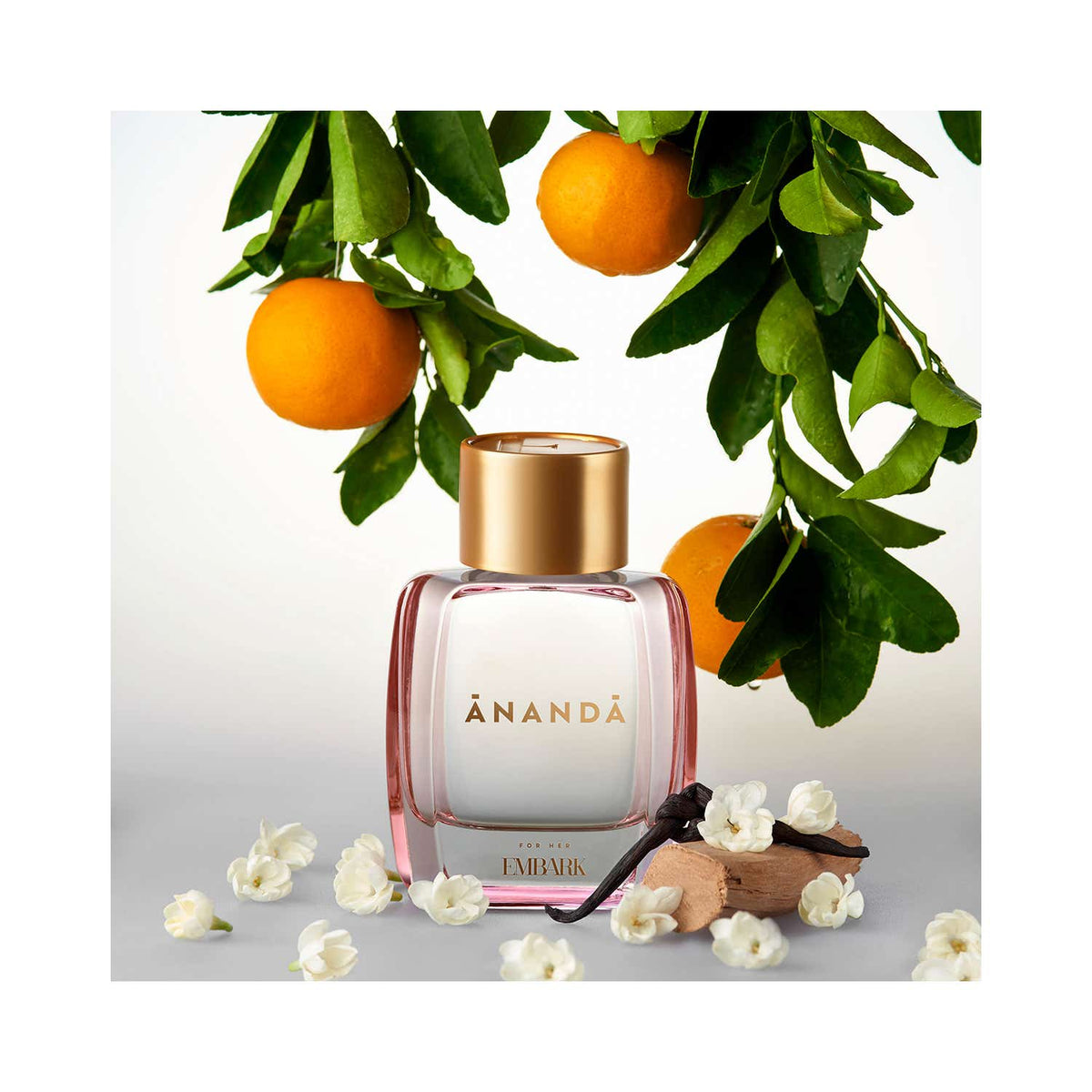 EMBARK My Ananda For Her Eau De Parfum (100ml)