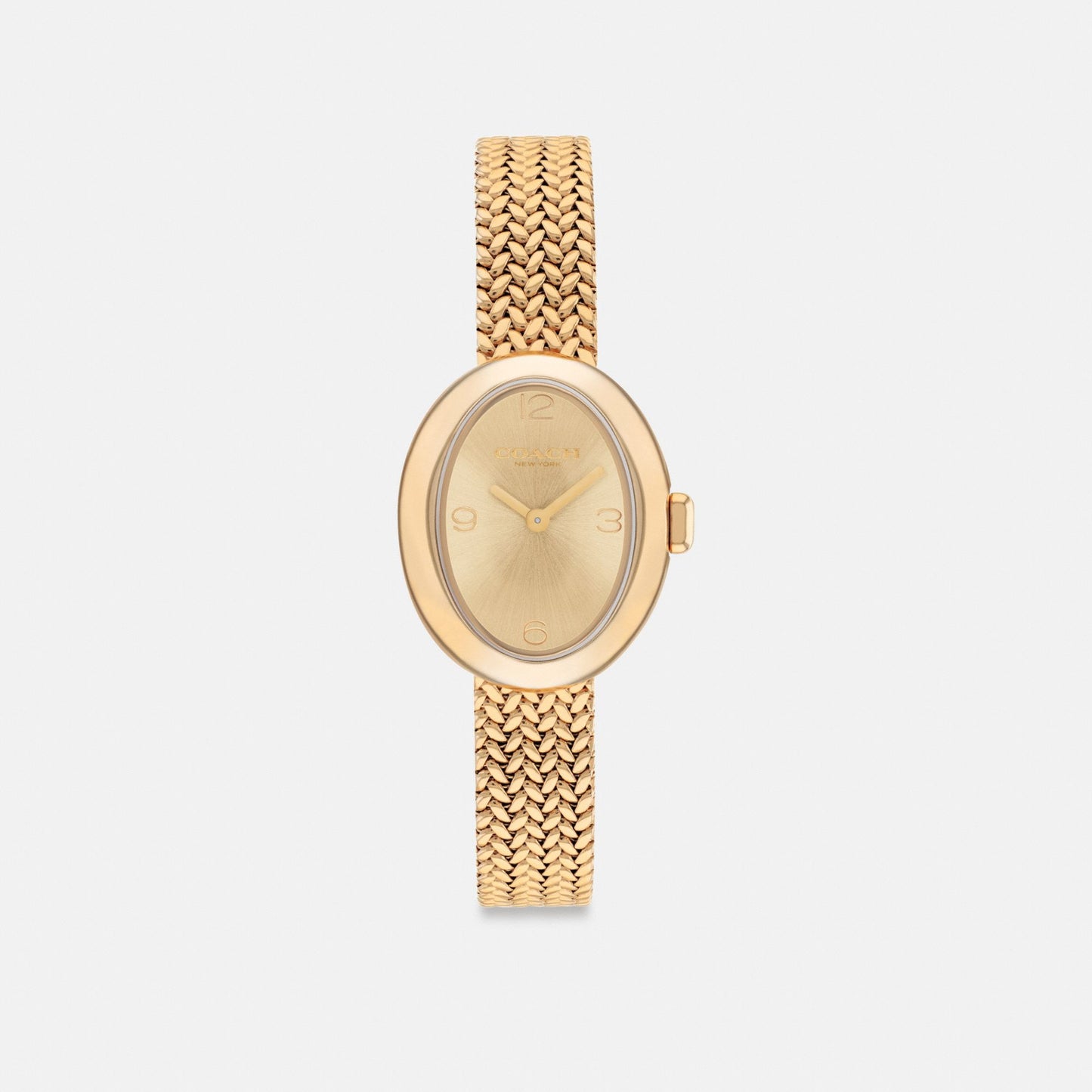 Women's Coach Sammy Watch, 22 Mm in Gold, style CCT14 #color_Gold — front view