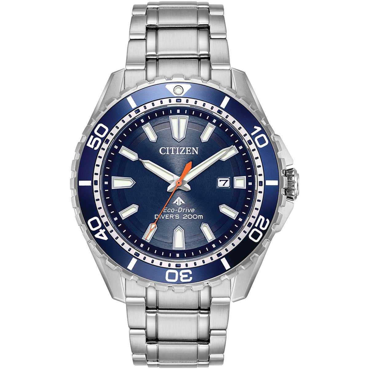 Promaster Diver (BN0191-55L)