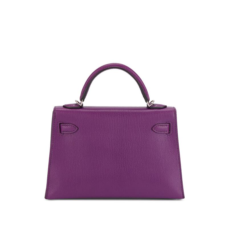 Hermès Anemone Chèvre Mini Kelly II 20 – Palladium Hardware