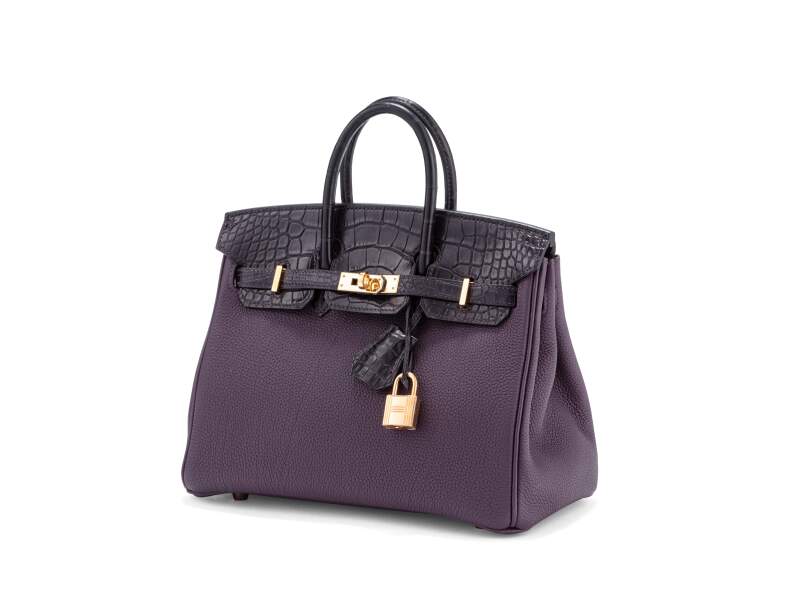 Hermès Raisin Togo & Alligator Birkin Touch 25 Rose Gold Hardware