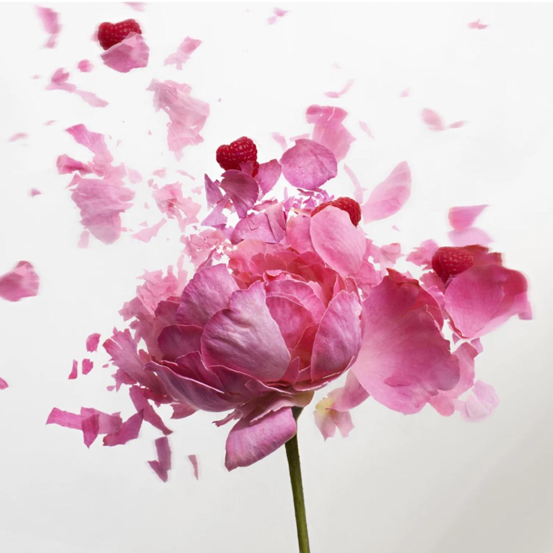 Nina Ricci Rose Extase Eau de Toilette for Women — image 2