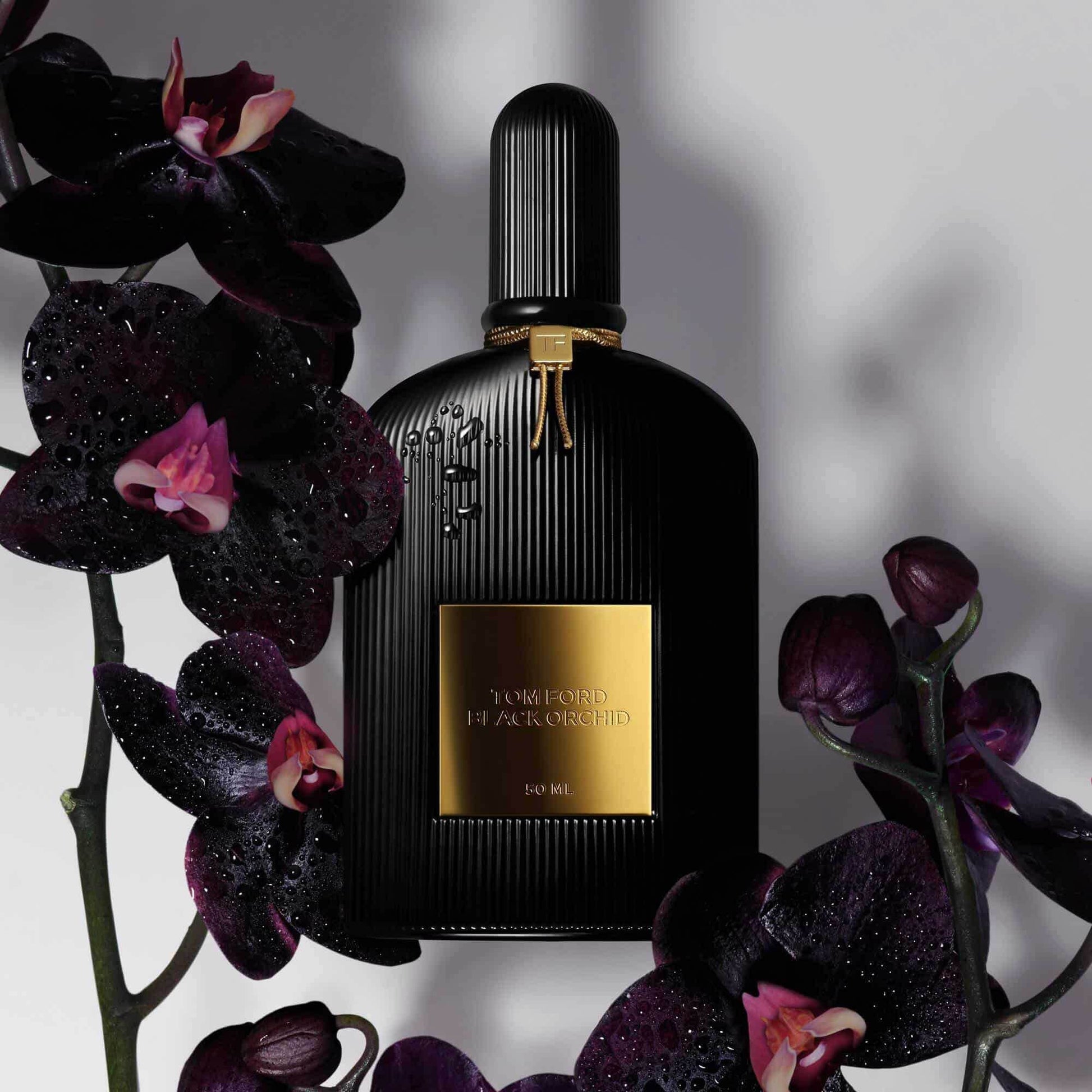 Tom Ford Black Orchid Eau de Parfum, 50.0 ml, Alt | TF Beauty