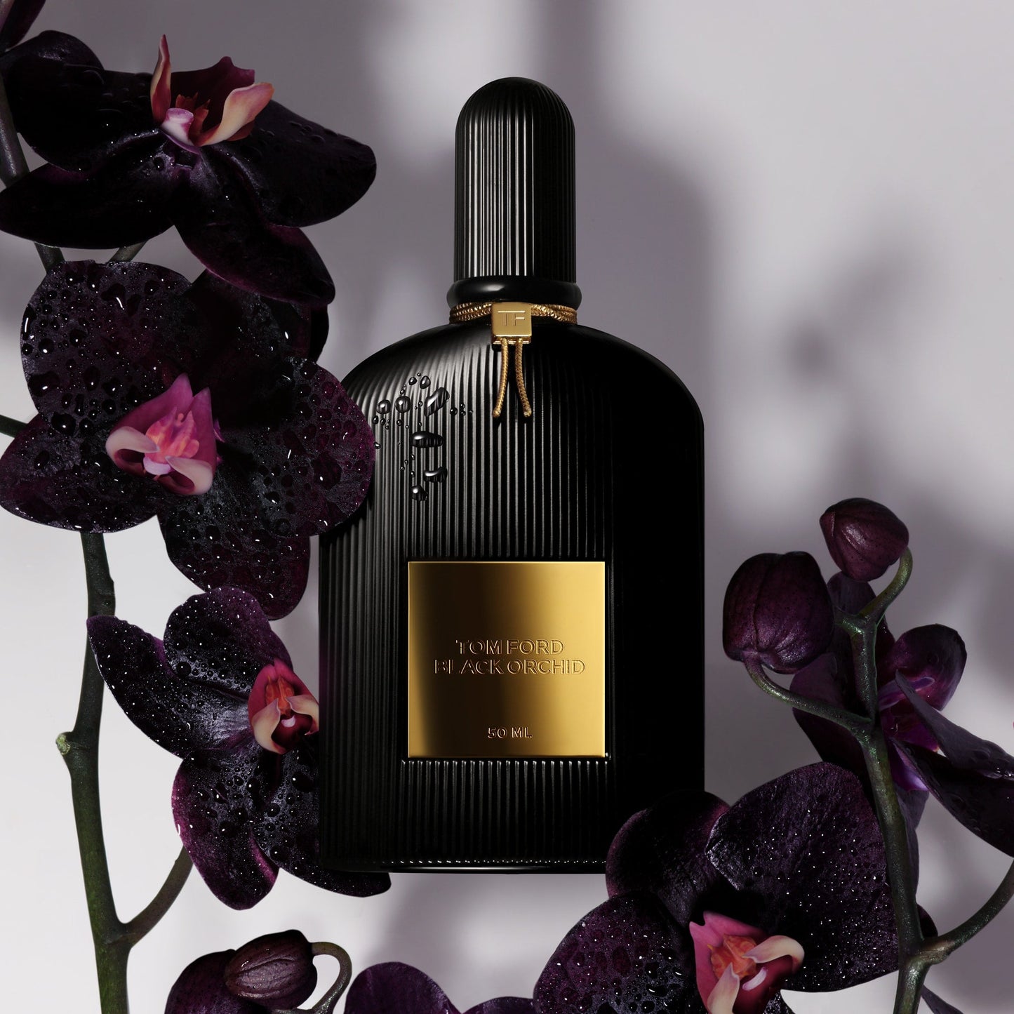 Tom Ford Black Orchid Eau de Parfum Set, Alt | TF Beauty India