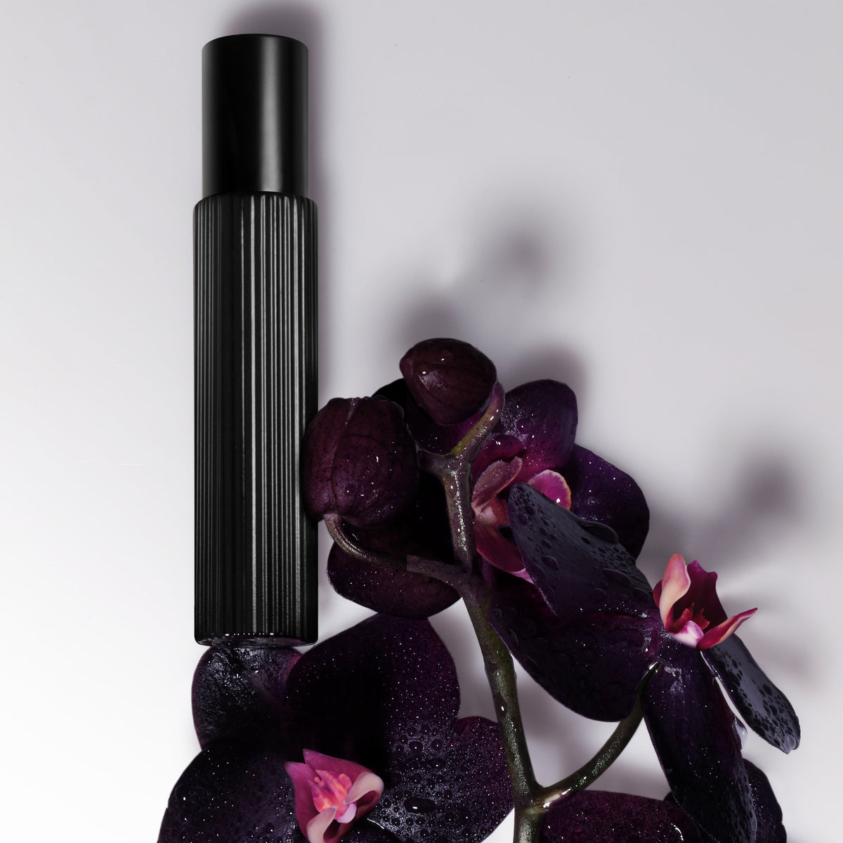 Tom Ford Black Orchid Eau de Parfum Set, Alt | TF Beauty India