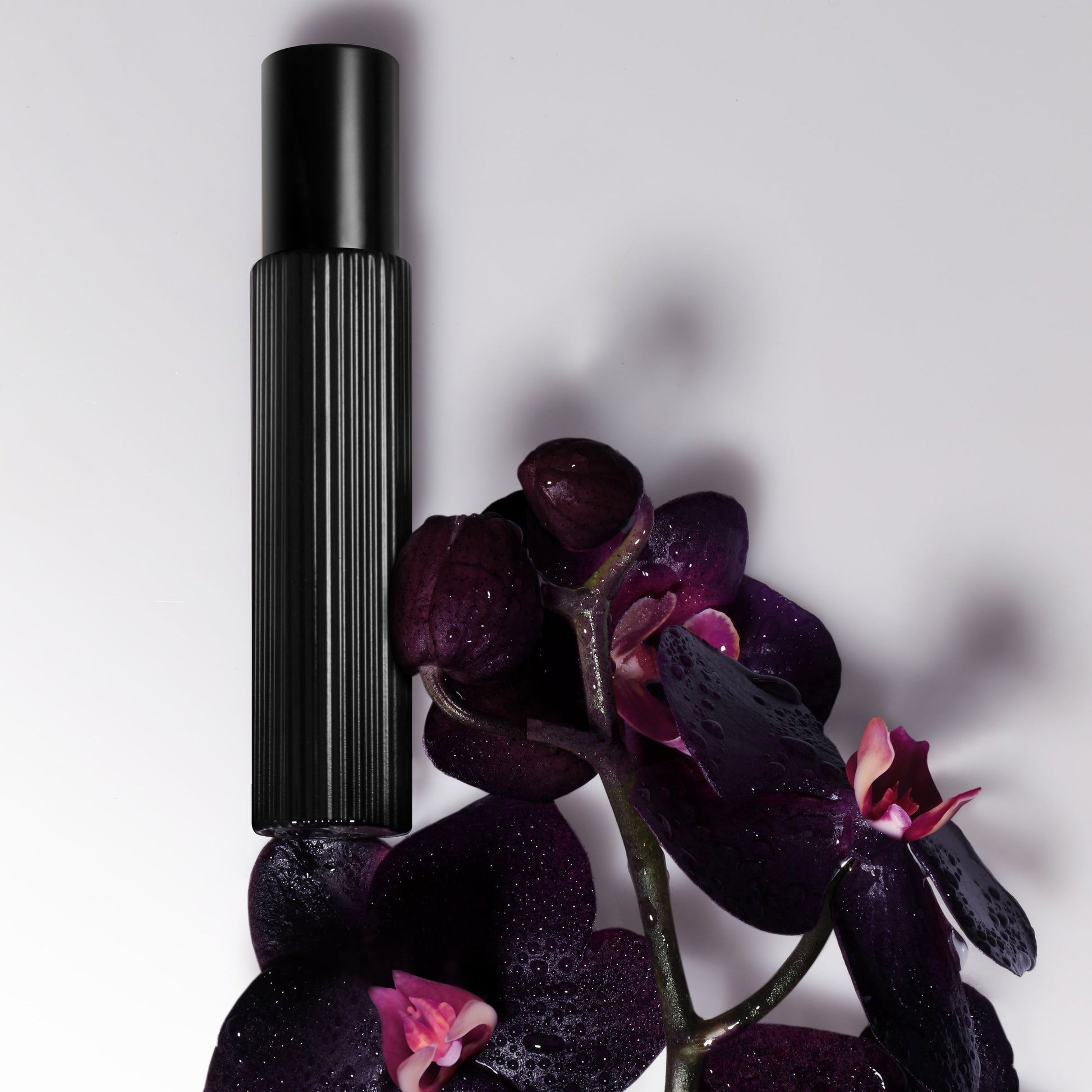 Tom Ford Black Orchid Eau de Parfum Set, Alt | TF Beauty India