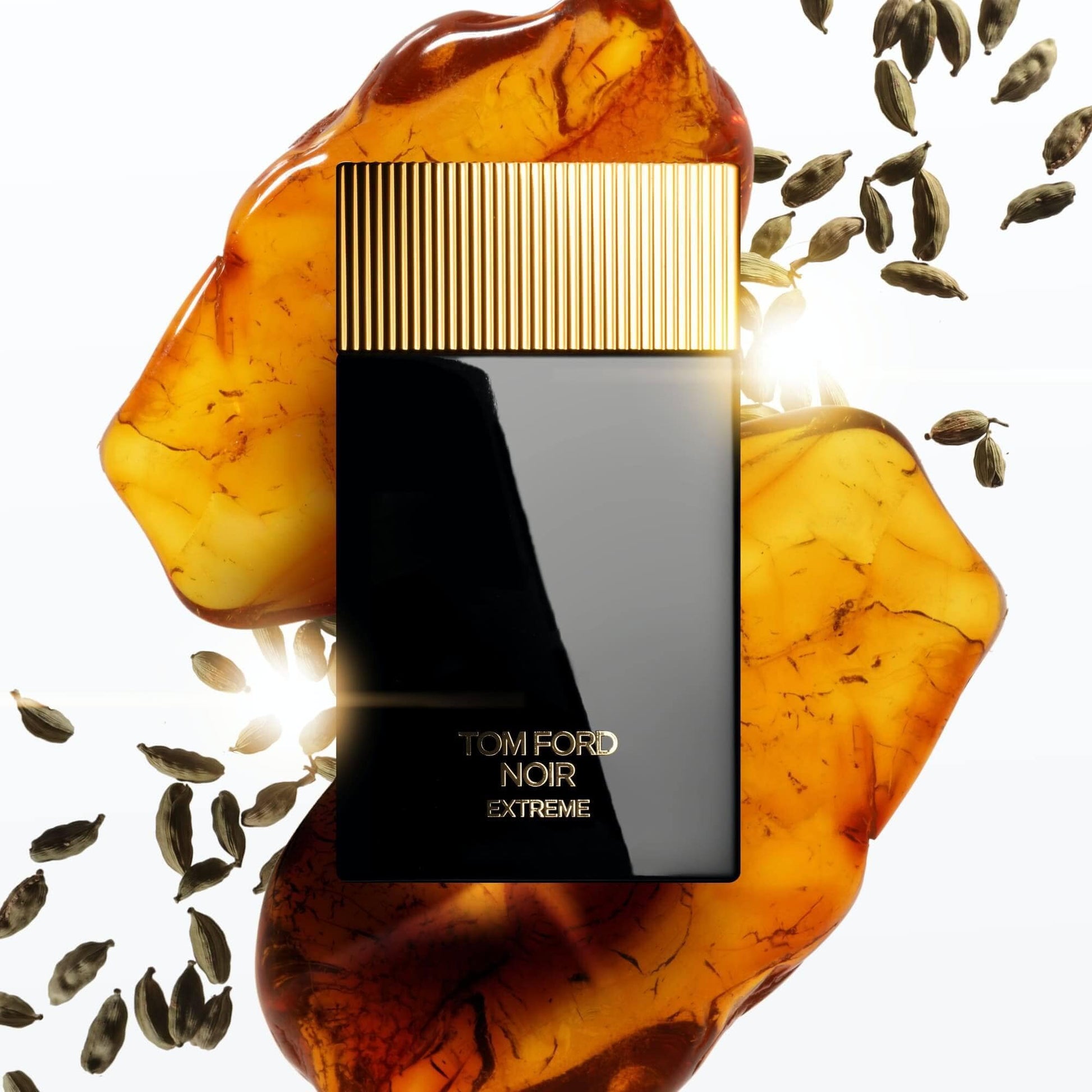 Tom Ford Noir Extreme Eau de Parfum, 50.0 ml, Alt | TF Beauty India