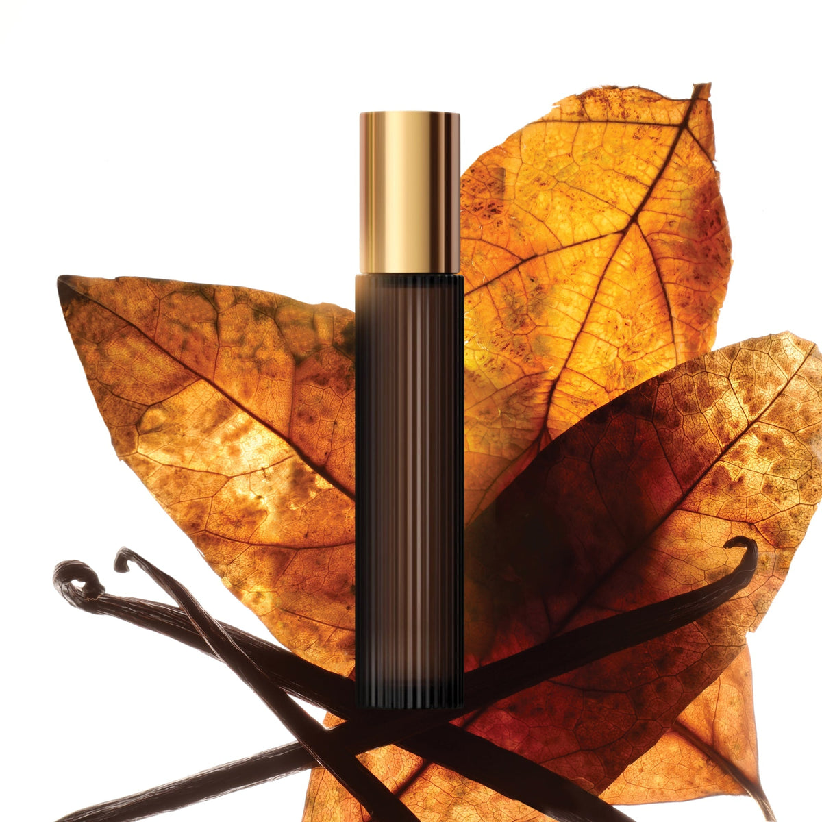 Tom Ford Tobacco Vanille Eau de Parfum, 10.0 ml, Smoosh | TF Beauty India
