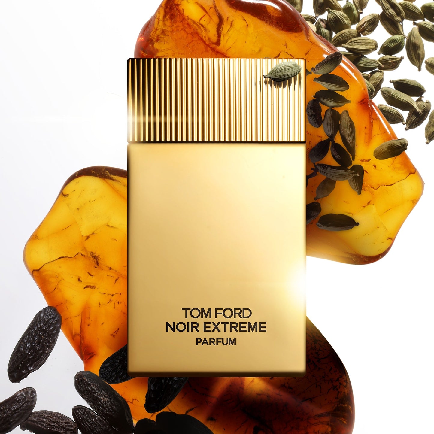 Tom Ford Noir Extreme Parfum, 50.0 ml, Alt | TF Beauty India