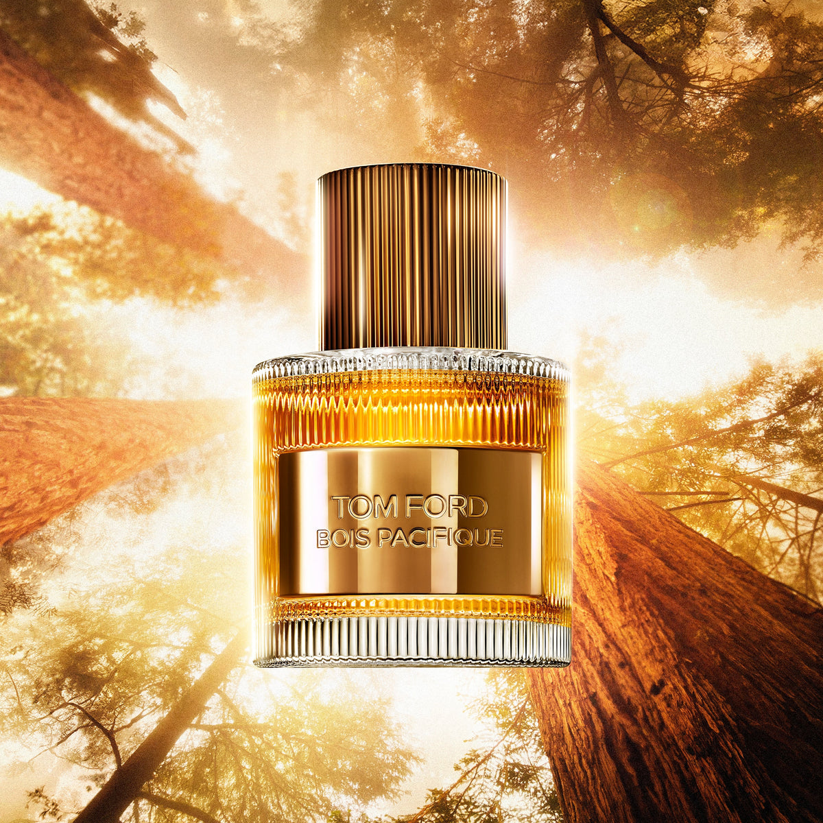 Tom Ford Bois Pacifique Eau de Parfum, 50.0 ml, Alt | TF Beauty India