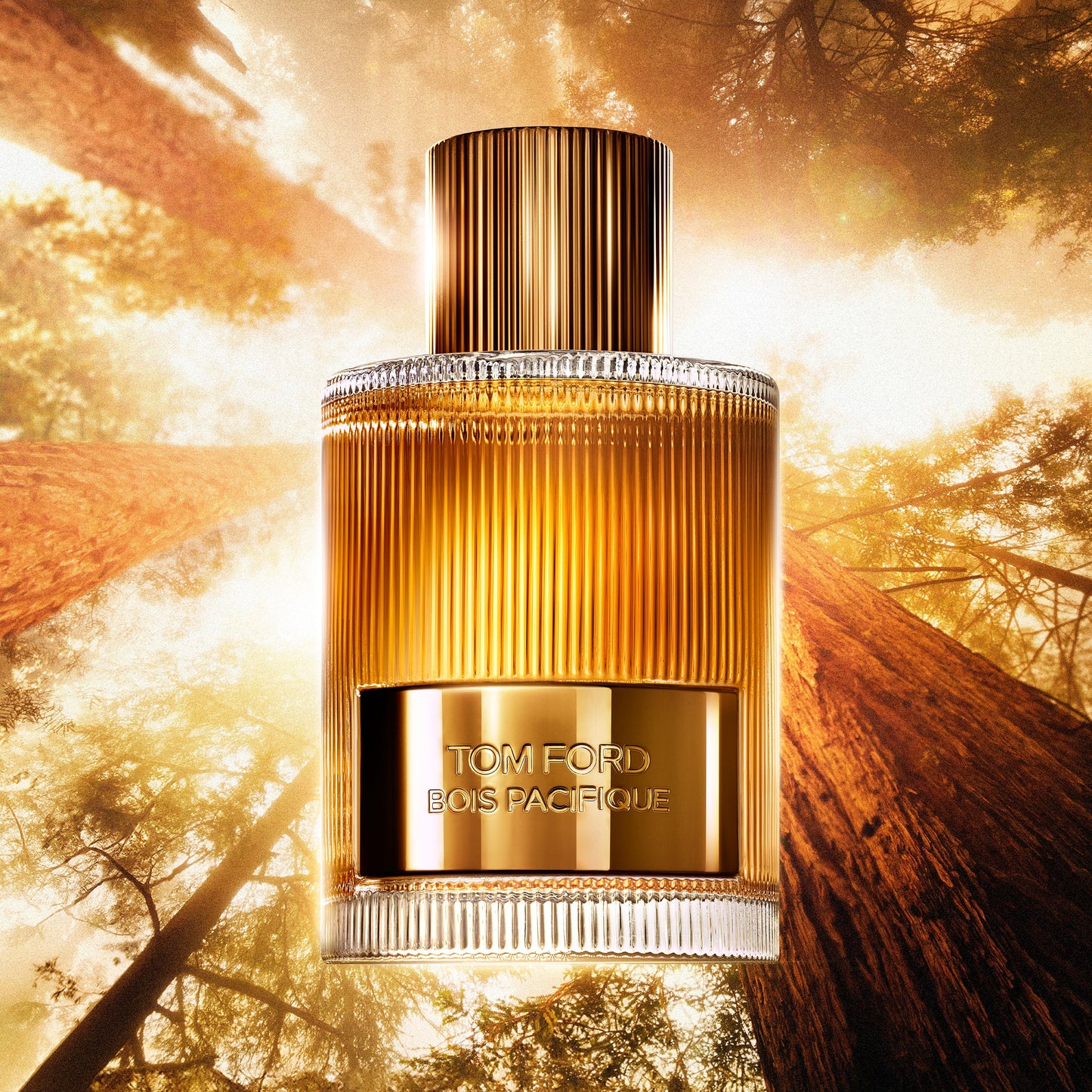 Tom Ford Bois Pacifique Eau de Parfum, 100.0 ml, Alt | TF Beauty India
