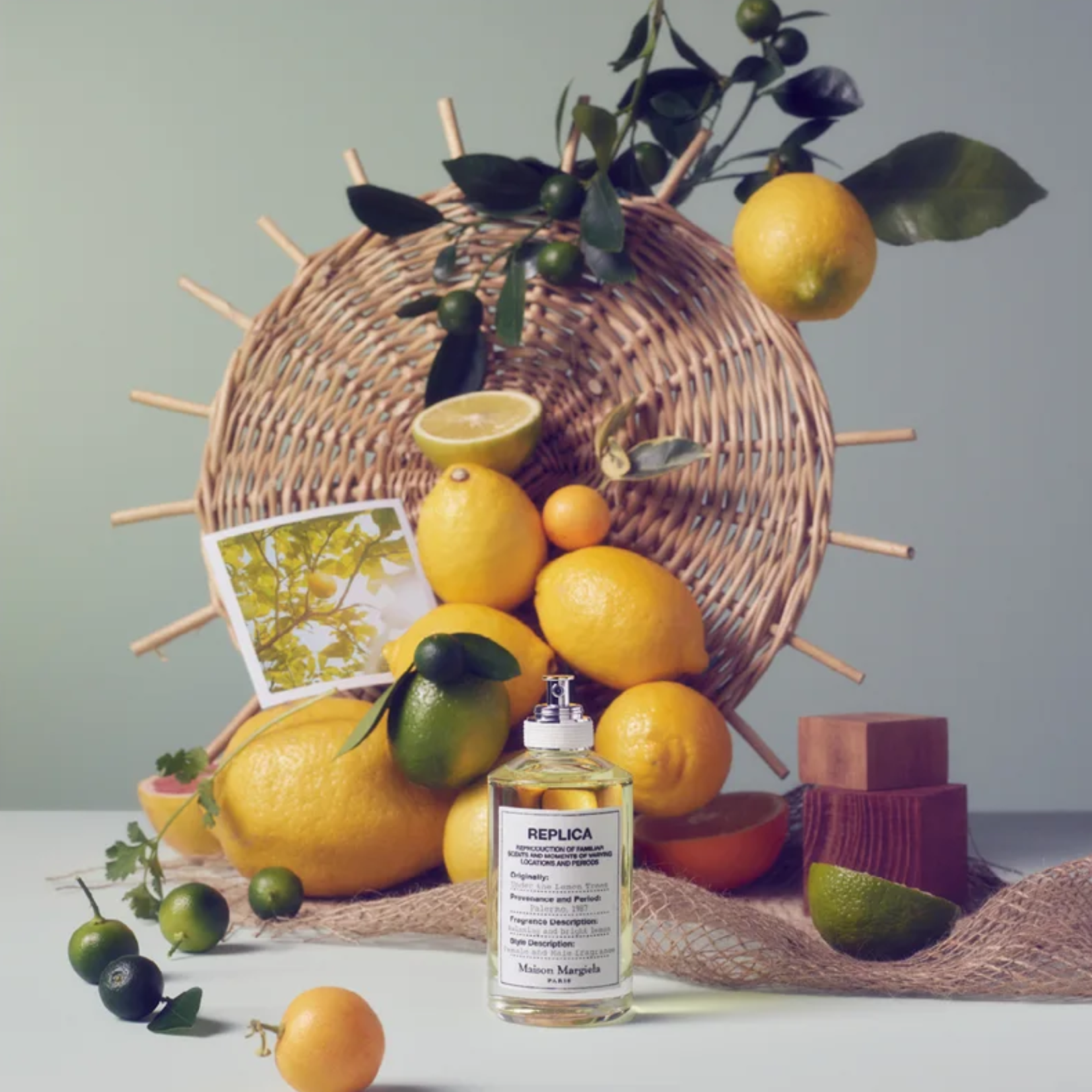 Maison Margiela REPLICA Under the Lemon Trees Eau de Toilette — image 2