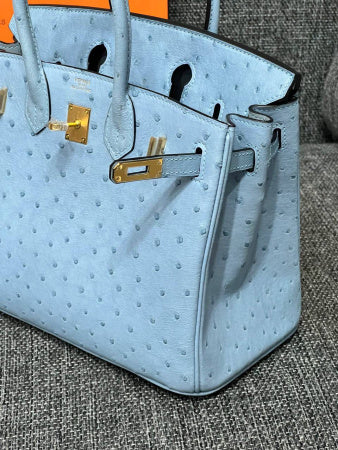 Hermès Birkin 25 – Mykonos Ostrich with Gold Hardware - Zeuskicks